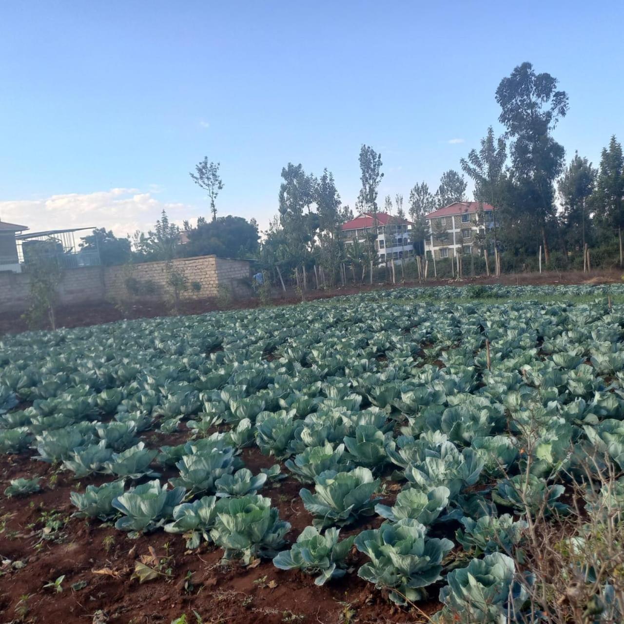 Gatimene Gardens Hotel Meru Exteriér fotografie